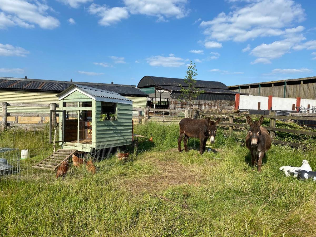 Rew Farm Country & Equestrian Accommodation - Sunrise Lodge Melksham Exterior foto
