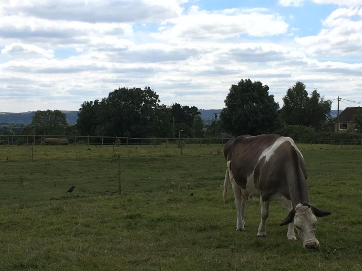 Rew Farm Country & Equestrian Accommodation - Sunrise Lodge Melksham Exterior foto