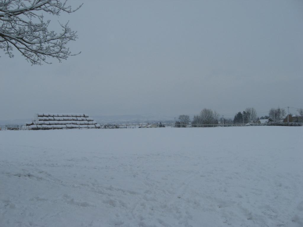 Rew Farm Country & Equestrian Accommodation - Sunrise Lodge Melksham Exterior foto
