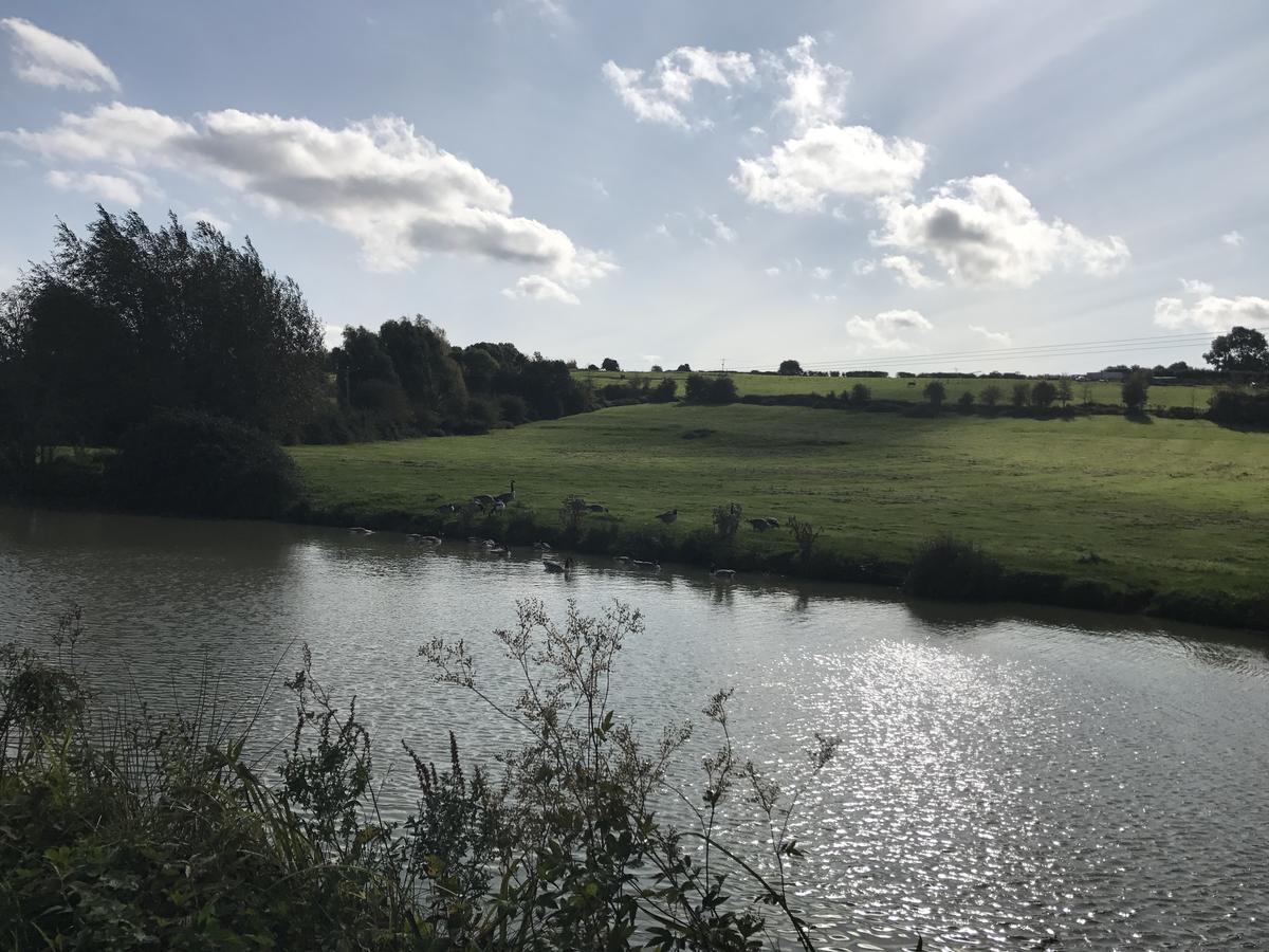 Rew Farm Country & Equestrian Accommodation - Sunrise Lodge Melksham Exterior foto